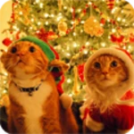 Logo of Christmas Cat live wallpaper android Application 