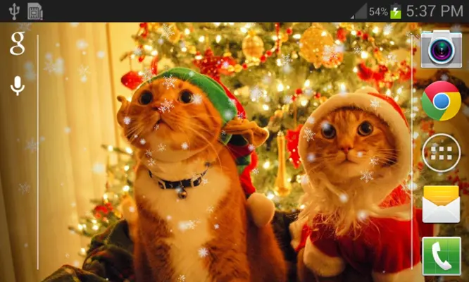 Christmas Cat live wallpaper android App screenshot 0