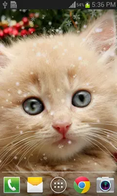 Christmas Cat live wallpaper android App screenshot 1