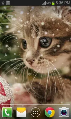 Christmas Cat live wallpaper android App screenshot 2