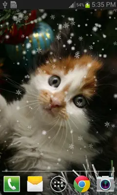 Christmas Cat live wallpaper android App screenshot 4