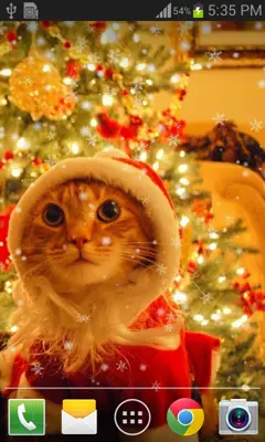 Christmas Cat live wallpaper android App screenshot 5