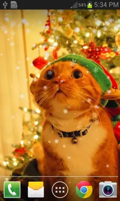 Christmas Cat live wallpaper android App screenshot 6